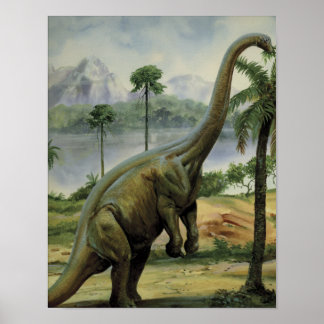 Apatosaurus (Brontosaurus) essen Illustration Poster