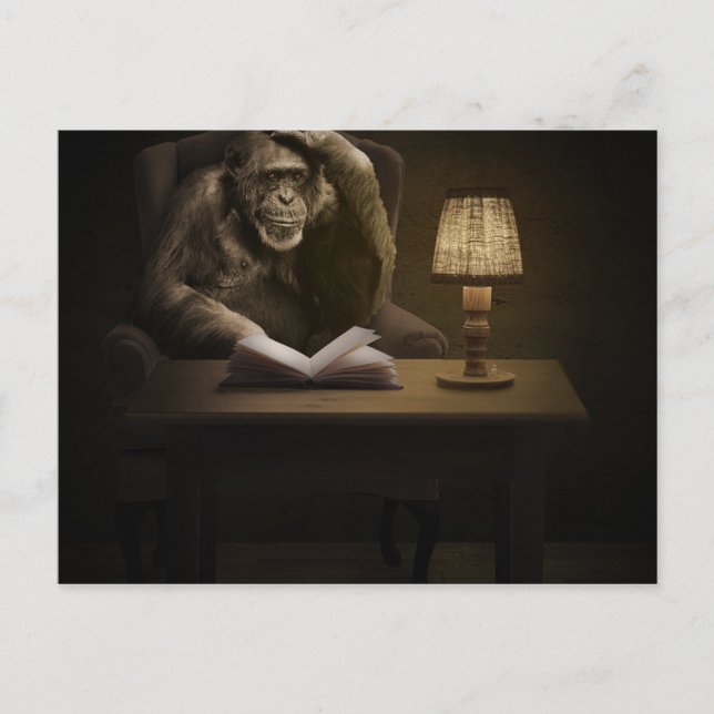 Ape Chimpanzee Monkey Postkarte (Vorderseite)