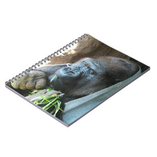 Ape Kapuze ~ Japanischer Gorilla Eating Notizblock