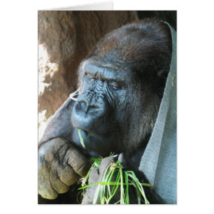 Ape Kapuze ~ Japanischer Gorilla essen Grußkarte