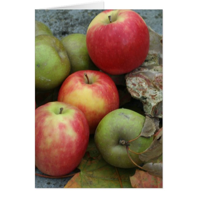 Äpfel (Vorne)