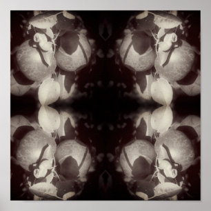 Äpfel auf Bäumen Vintag schwarz und weiß Abstrakt Poster