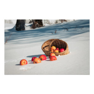 Äpfel auf dem Schnee Fotodruck