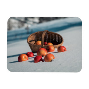 Äpfel auf dem Schnee Magnet