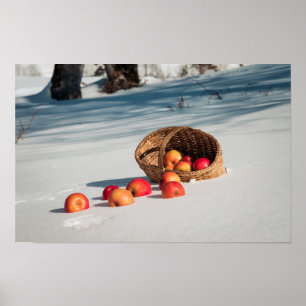 Äpfel auf dem Schnee Poster