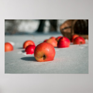 Äpfel auf dem Schnee Poster