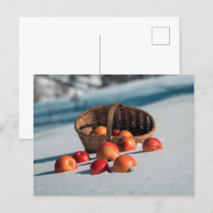Äpfel auf dem Schnee Postkarte