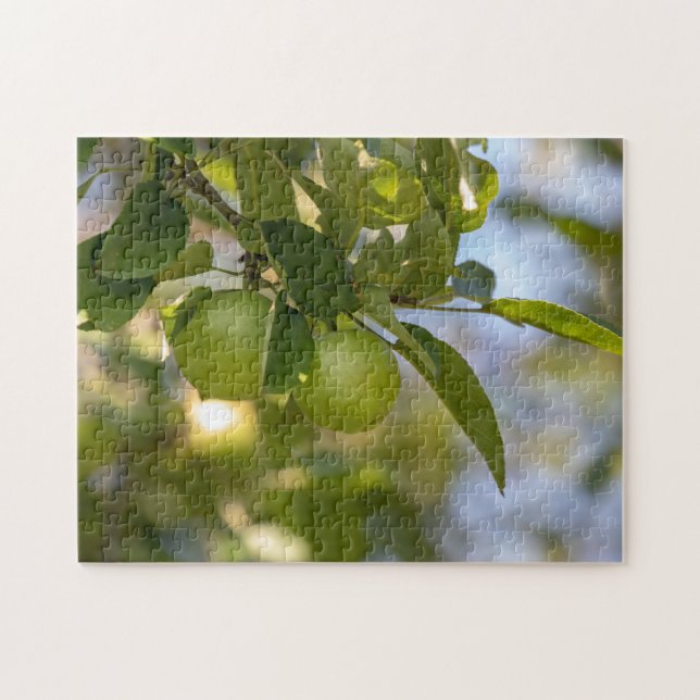 Äpfel auf Zweig (Horizontal)