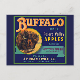 Äpfel der Marke Buffalo der 1930er Jahre kratzen Postkarte
