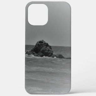 Apfel iPhone 12 Pro Max Hülle Kunst und Design