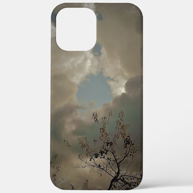 Apfel iPhone 12 Pro Max Hülle Kunst und Design  (Rückseite)