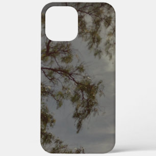 Apfel iPhone 12 Pro Max Hülle Kunst und Design