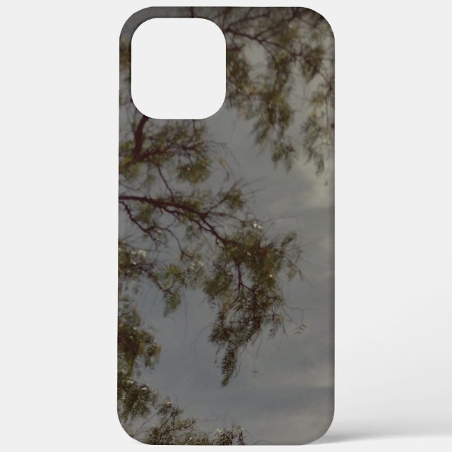 Apfel iPhone 12 Pro Max Hülle Kunst und Design  (Rückseite)