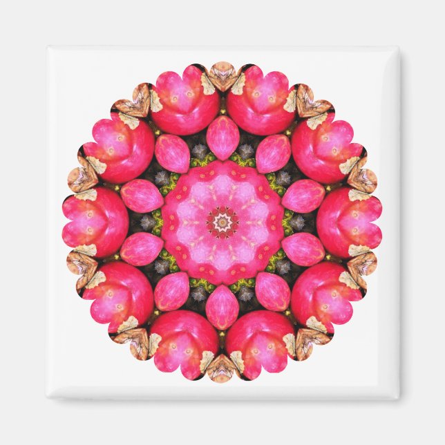 ÄPFEL MAGNET (Vorne)