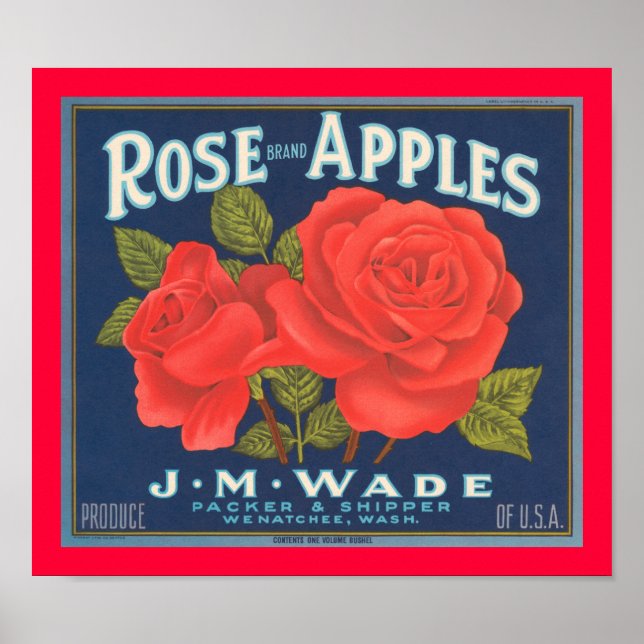 Äpfel mit Rose Poster (Vorne)