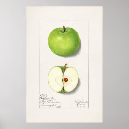 Apfel Poster