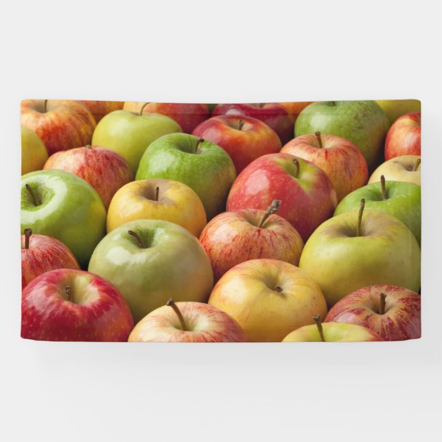 Äpfel - reif u. bunt banner (Horizontal)