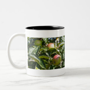 Äpfel reifen an einem Apfelbaum Zweifarbige Tasse