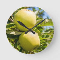 Äpfel