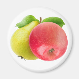 Apfel und Birne Magnet