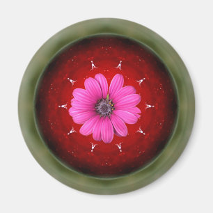 Apfel und Gänseblümchen - Collage Magnet