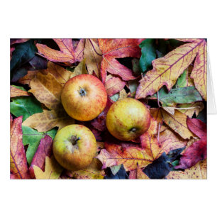 Äpfel und Herbstblätter leer