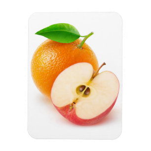 Apfel und Orange Magnet