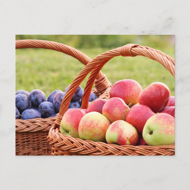 Äpfel und Pflaumen Postkarte (Vorderseite)