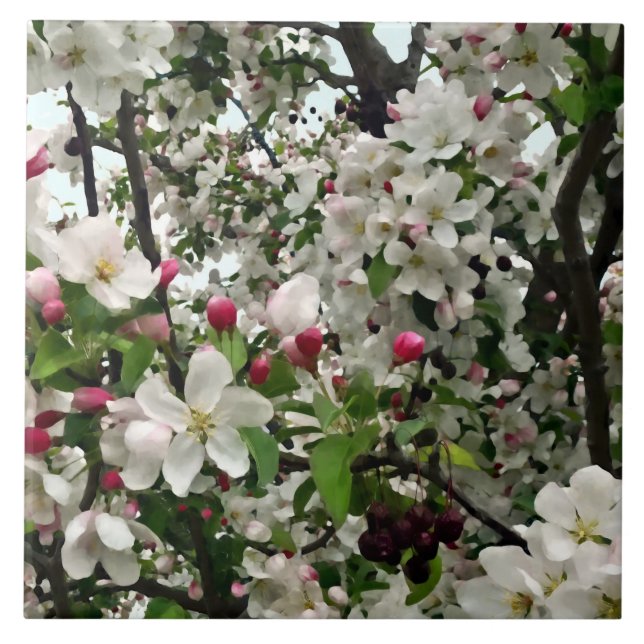 Apfelbaum im Blut Fliese (Vorderseite)