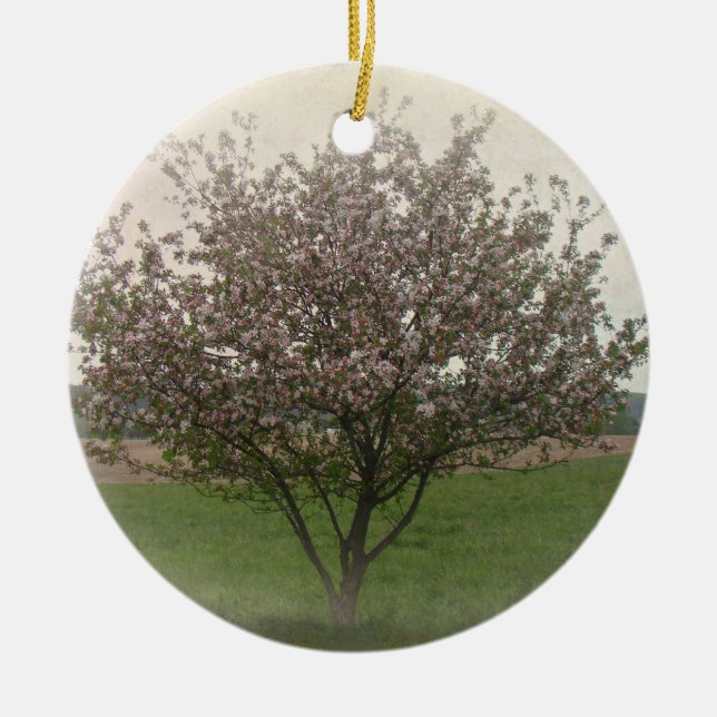 Apfelbaum in Bloom Keramikornament (Vorne)