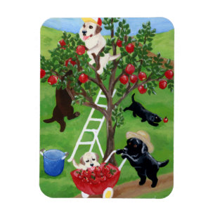 Apfelbaum Labradors Magnet