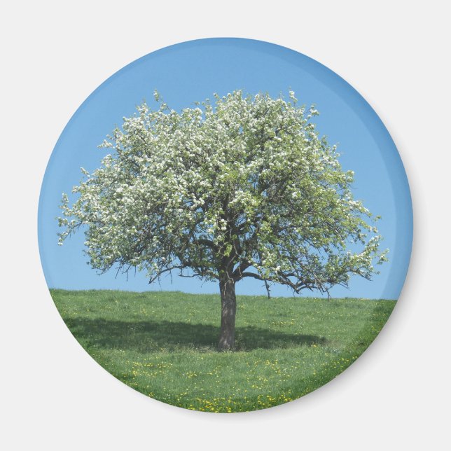 Apfelbaum Magnet (Vorne)