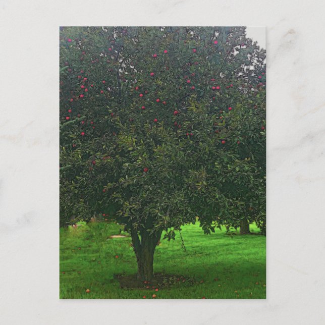 Apfelbaum Postkarte (Vorderseite)
