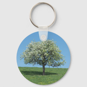 Apfelbaum Schlüsselanhänger