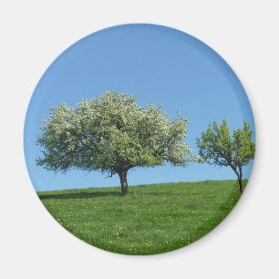Apfelbäume Magnet