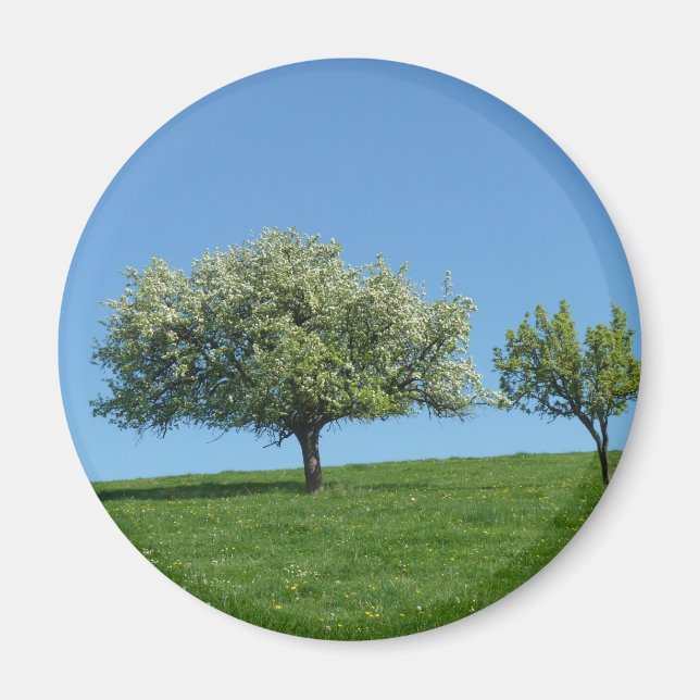Apfelbäume Magnet (Vorne)