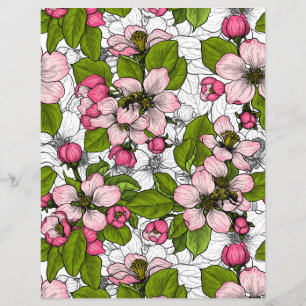 Apfelblüte auf weiß