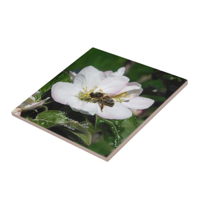 Apfelblüte & Biene Makrofoto | Keramikfliese (Seite)