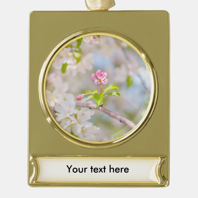 Apfelblüte - Schönheit Banner-Ornament Gold (Vorderseite)