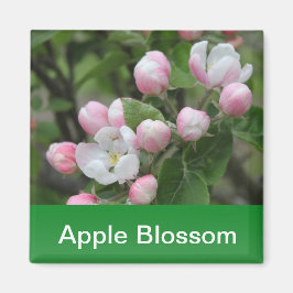 Apfelblüte und grüne Blätter Magnet