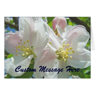 Apfelblüten Blumen Custom Cards Floral