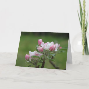 Apfelblüten-Grußkarte Karte