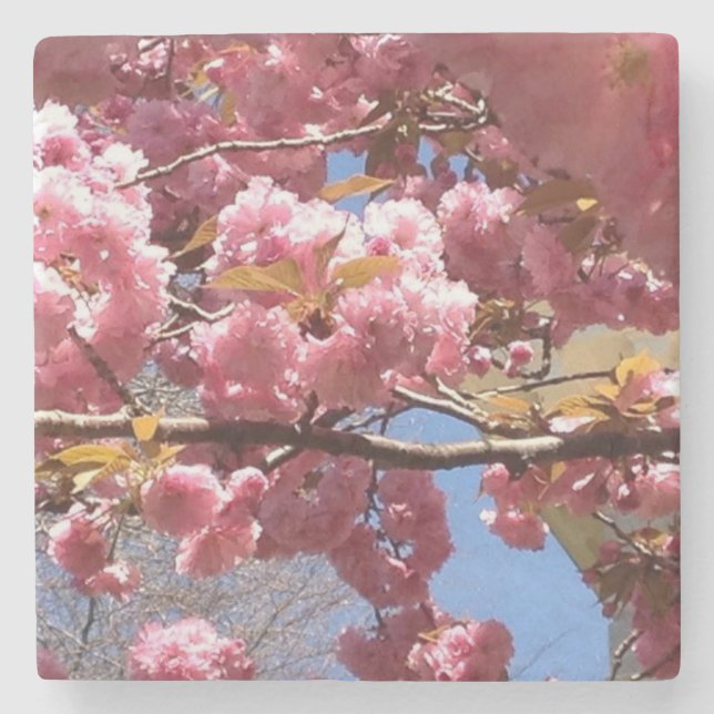 Apfelblüten im Frühling - Rosa und Weiß Zweig Steinuntersetzer (Vorderseite)