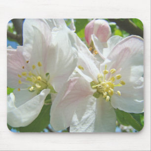 Apfelblüten in Mousepad-Qualität Frühlingsblumen Mousepad