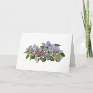 Apfelblüten Karte