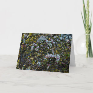Apfelblüten Karte
