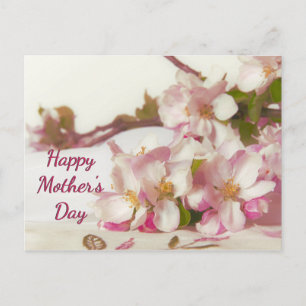 Apfelblüten-Postkarte Postkarte