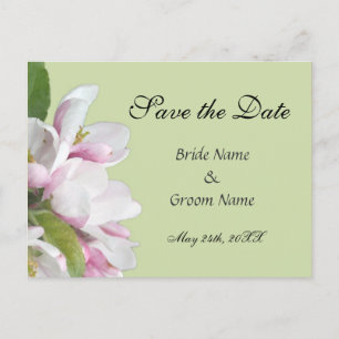 Apfelblüten-Save-the-Date-Postkarte Ankündigungspostkarte