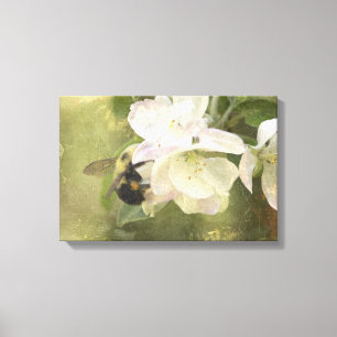 Apfelblüten und Hummel Leinwanddruck