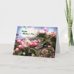 Apfelblüten zum Muttertag Karte